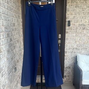 Express Women's Navy Wide Leg Pants Side Zipper